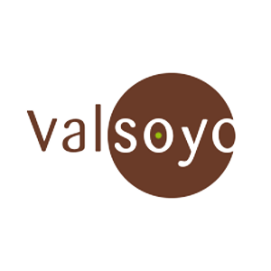 Logo de Valsoyo